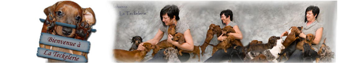 Teckelerie_new